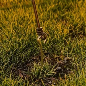 Canopy Tent Hardware Rope & Ground Spike