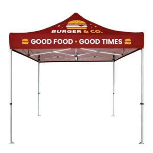 LED Light Canopy Tent 10 x 10