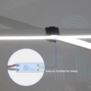 LED Light Canopy Tent 10 x 15