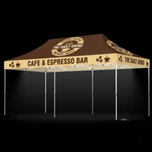 LED Light Canopy Tent 10 x 20